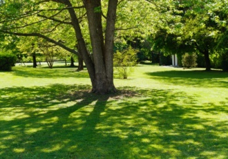 casa-in-legno-con-grande-giardino 