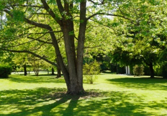 casa-in-legno-con-grande-giardino 