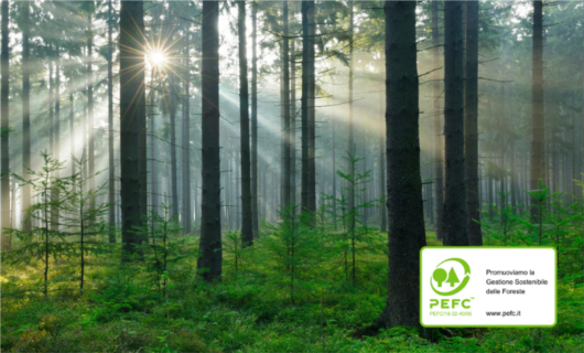 Case ecologiche in legno: ecco il legno adatto alla costruzione delle nostre case ecosostenibili. 